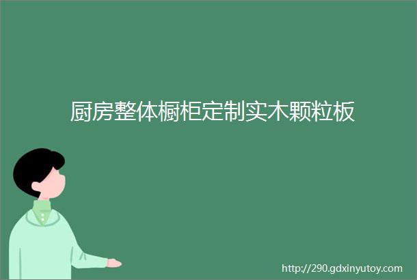 厨房整体橱柜定制实木颗粒板