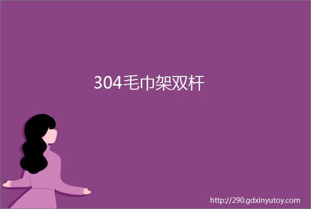 304毛巾架双杆