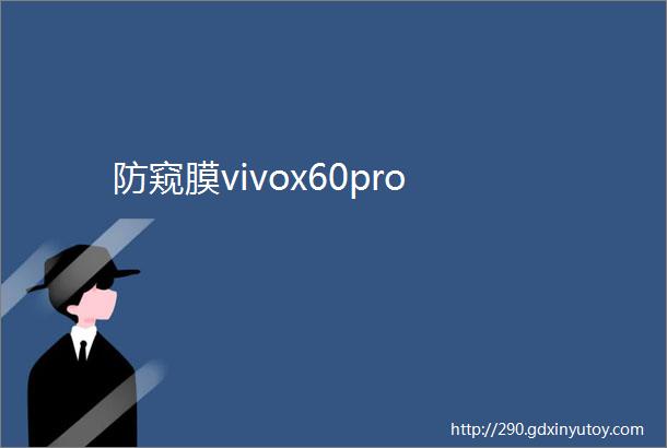 防窥膜vivox60pro